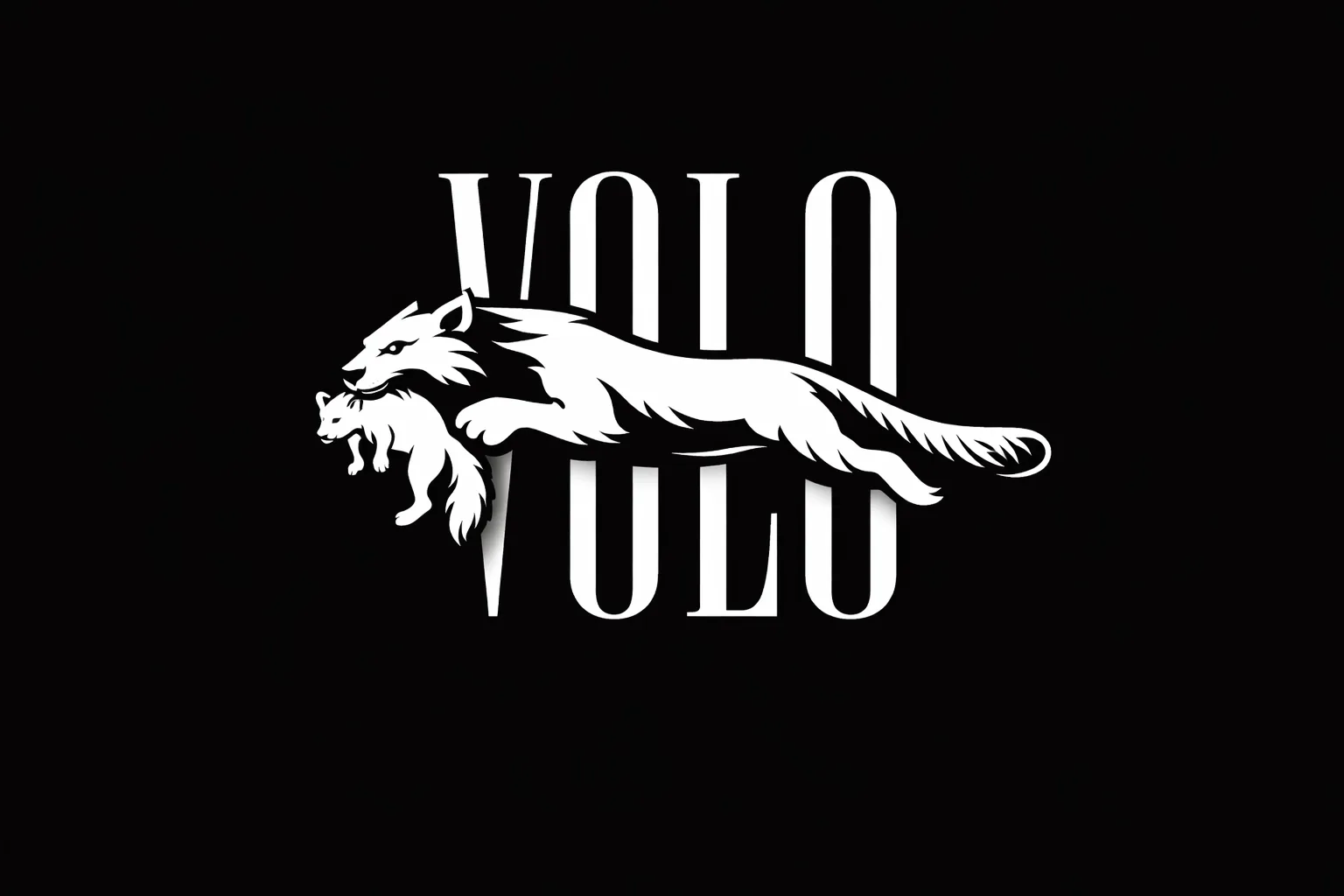 VOLO babr symbol